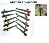 Cây cắm tưới gốc 8 tia - anh 3 Cây cắm tưới gốc 8 tia - anh 3