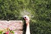 Thân phun popup Spray 1804 Rainbird - anh 4